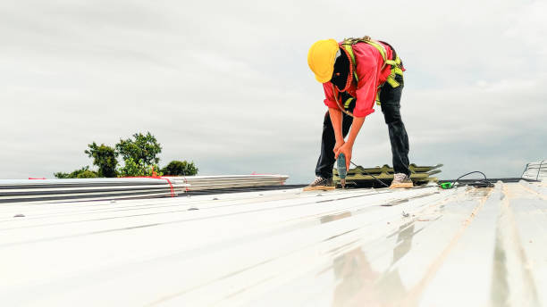 Best Asphalt Shingles Roofing  in Leona Valley, CA